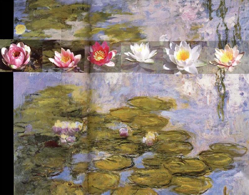 Claude Monet Detail from Water Lilies China oil painting art